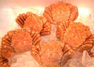 館の鮮魚・乾鮮魚店毛がに